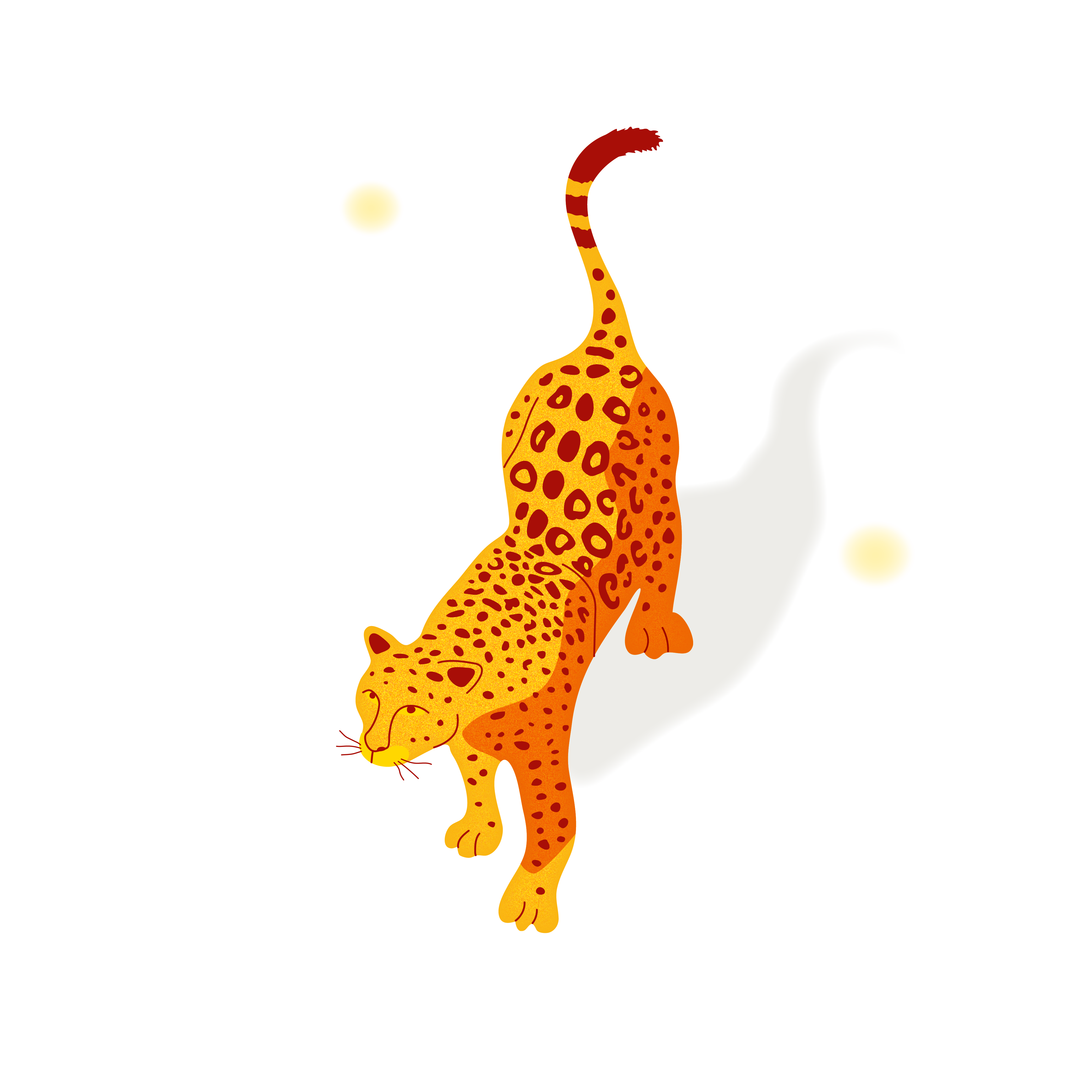 jaguar on transparent background
