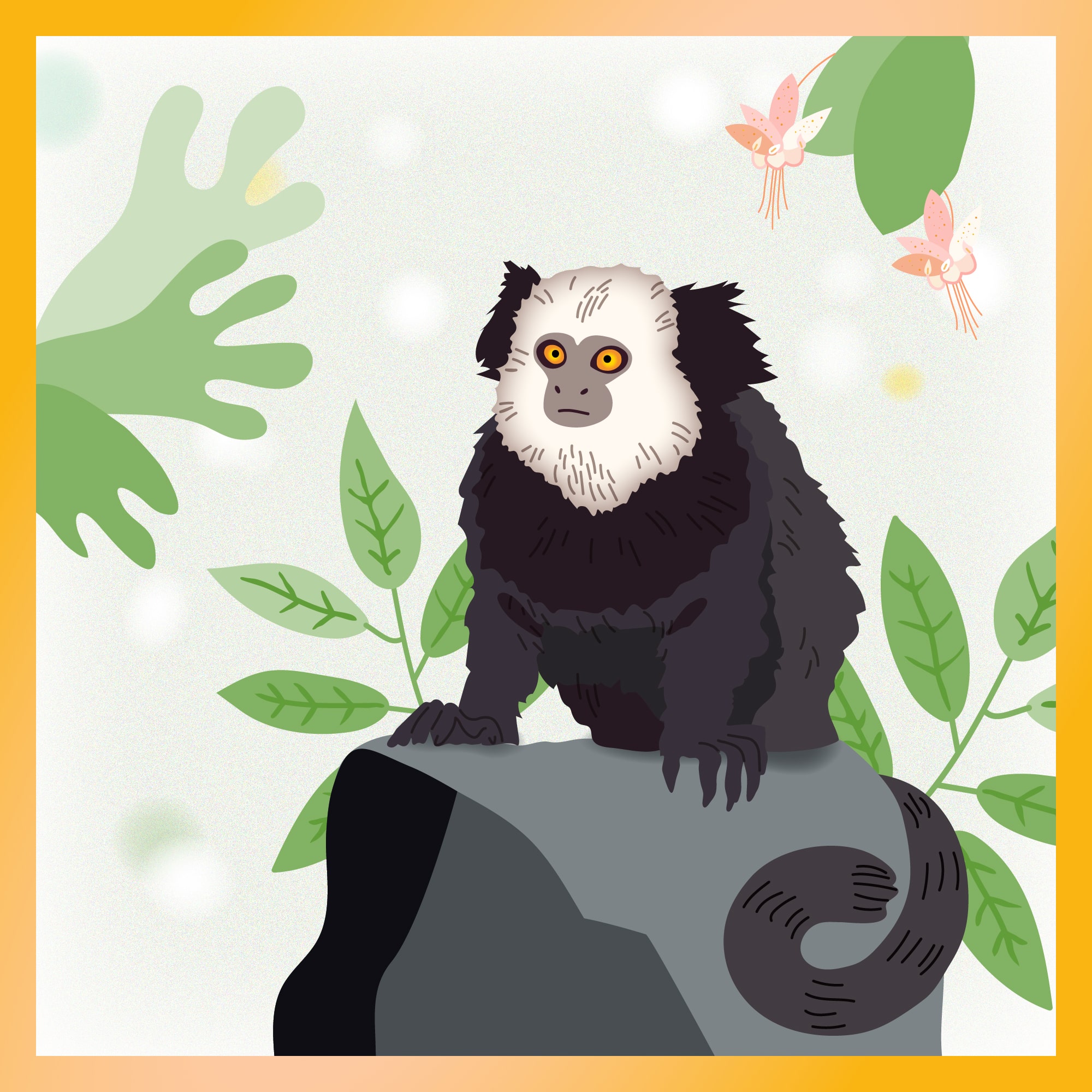 sagui illustration with frame