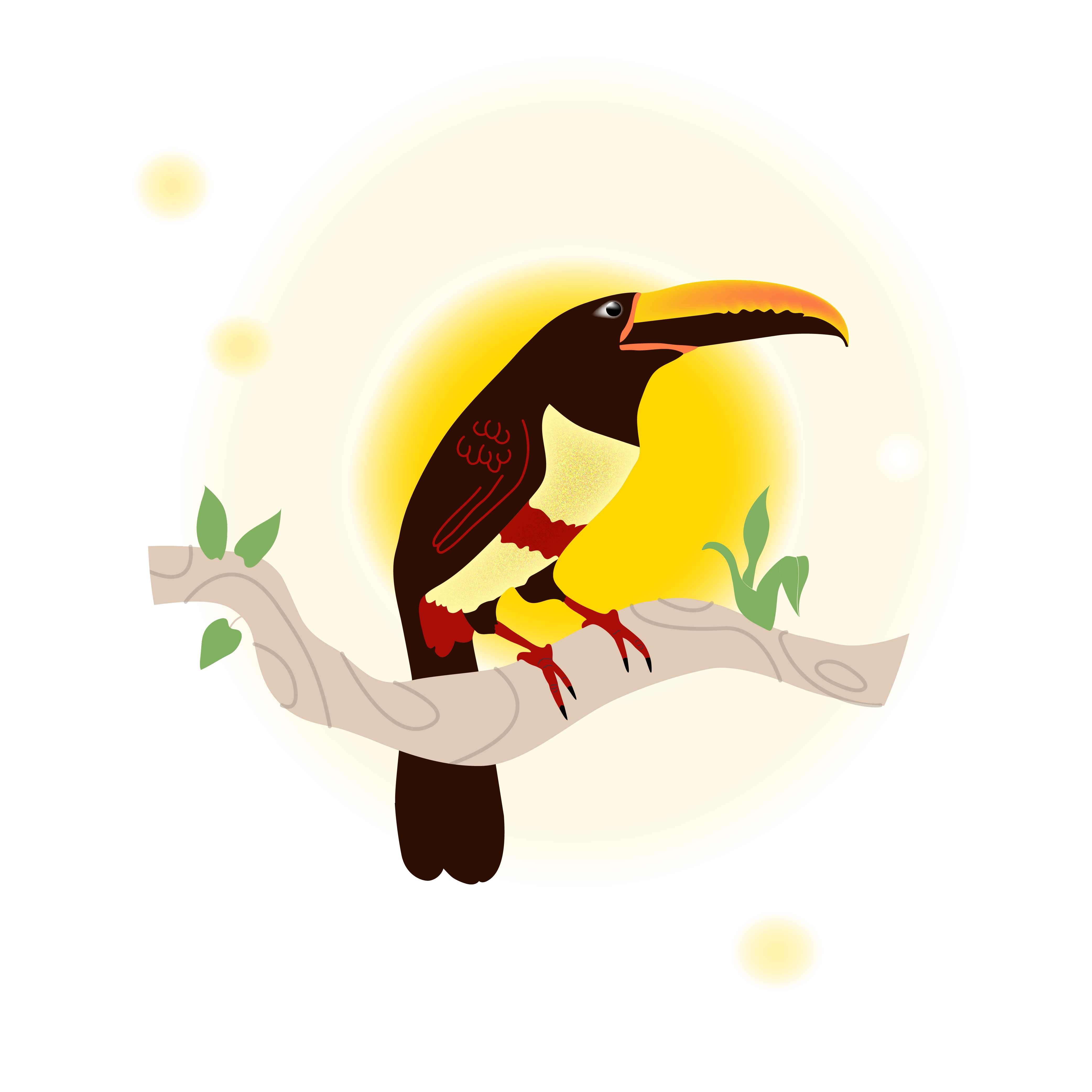 tucan illustration 