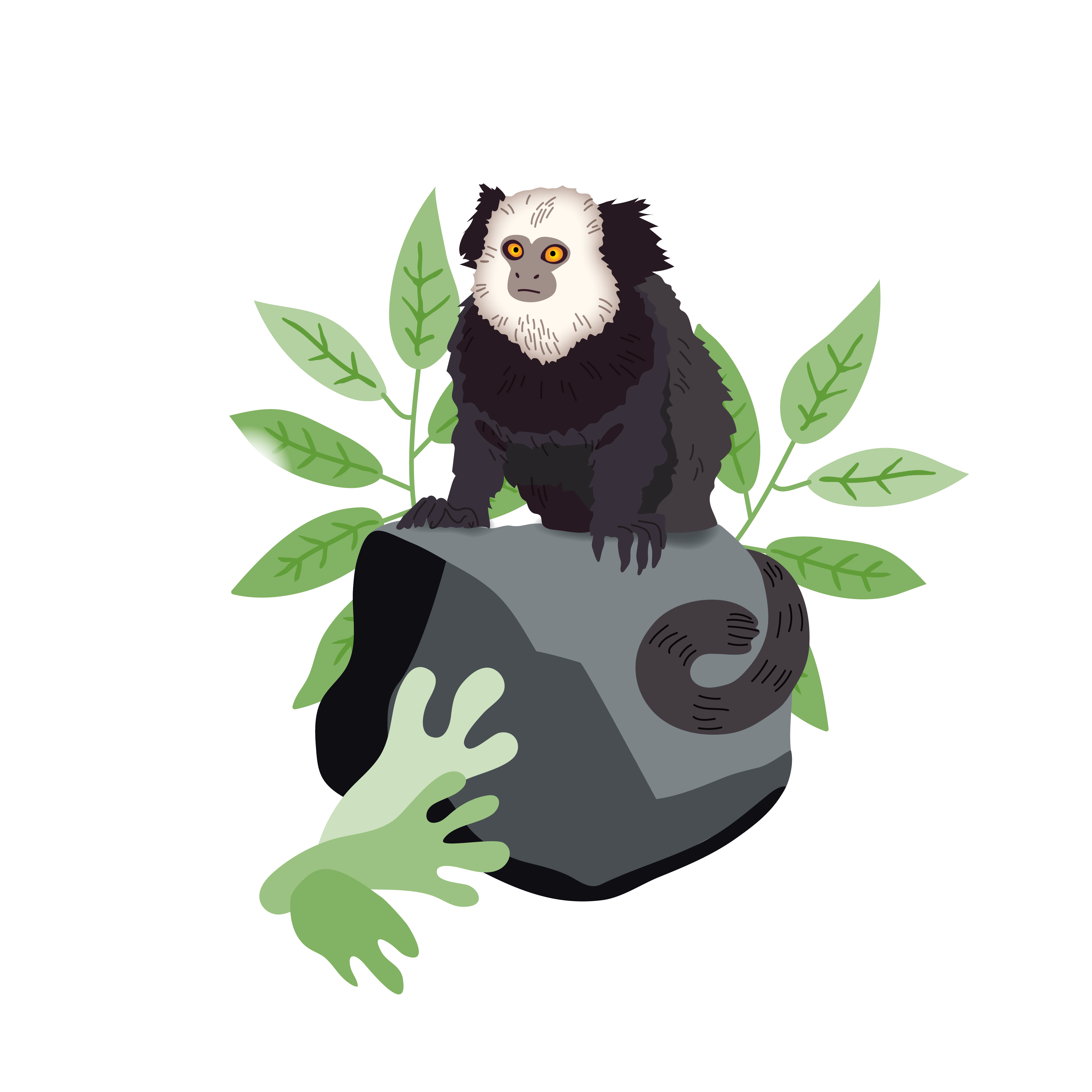 Sagui illustration of a monkey and leaves