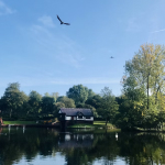 A Stoke-on-Trent park lake on a bright autumn morning