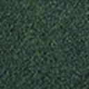 Logomattan färgval – ColorStar™ Logo Mat – C19 Forest green