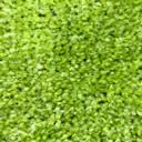 Logomattan färgval – Classic Impressions – 366 Bright Green
