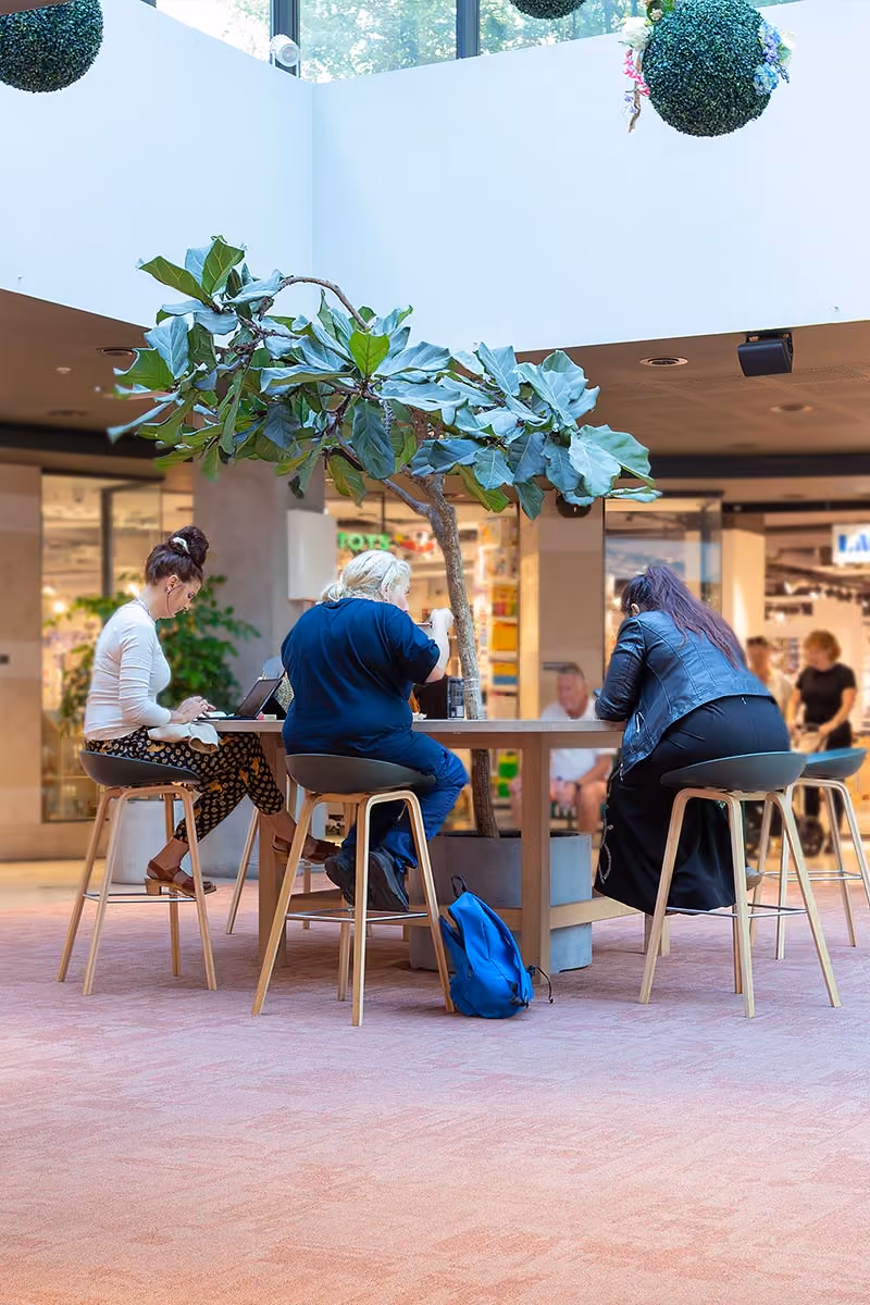 Västermalmsgallerian korridorsmatta från Logomattan