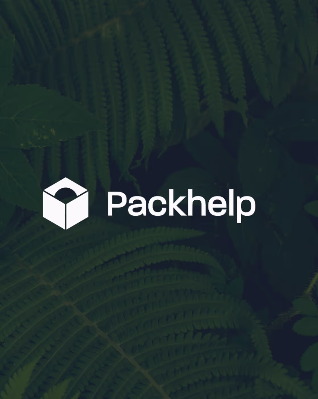 byrd's partnership with packhelp