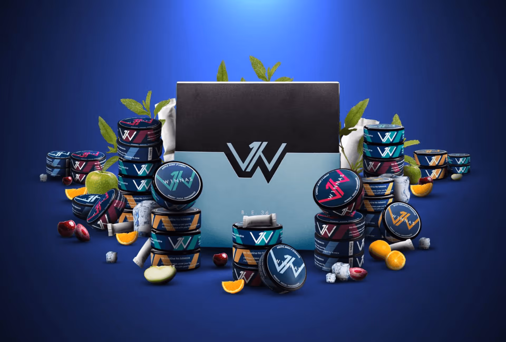 W1NNAS success story