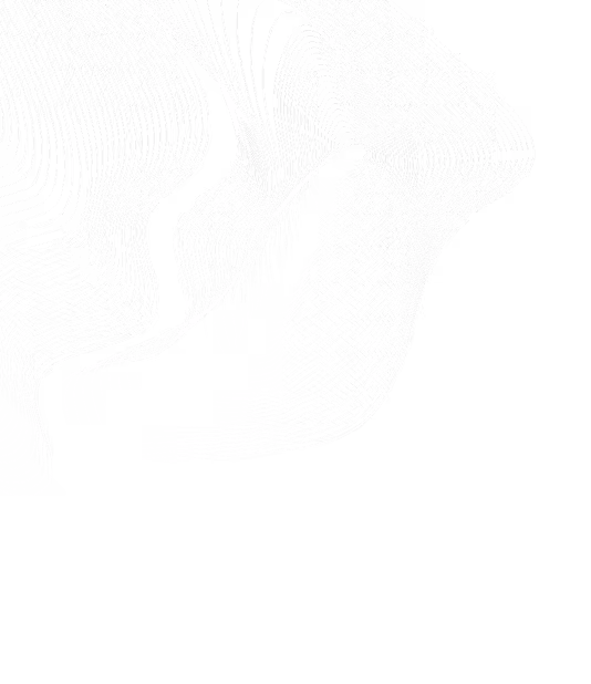 White flowing contour lines on black background forming abstract wave-like shapes.