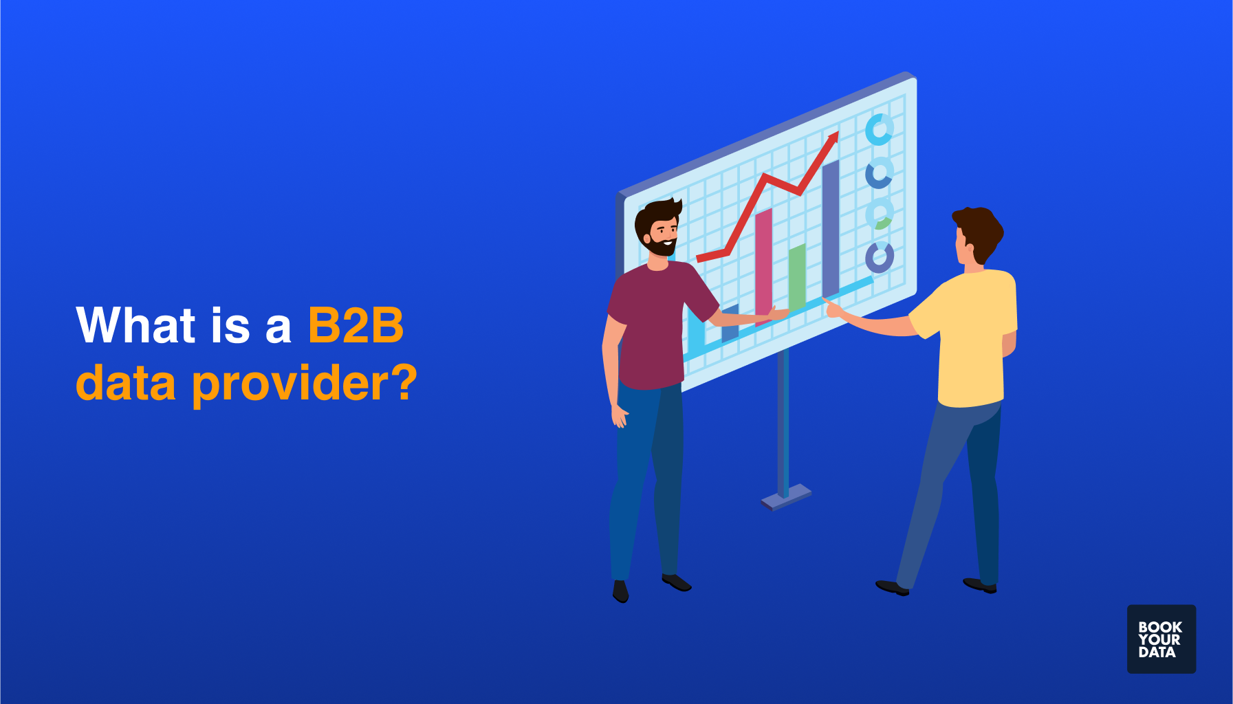 What is a B2B data provider?