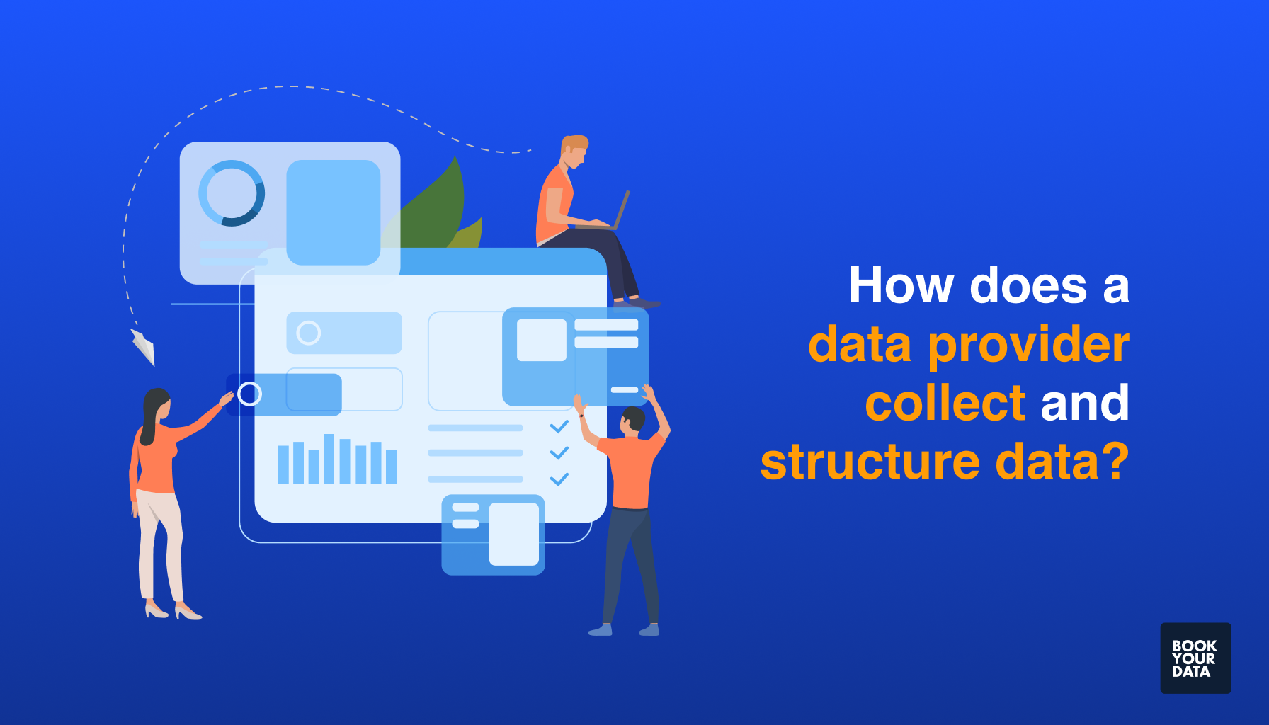 How does a data provider collect and structure data?
