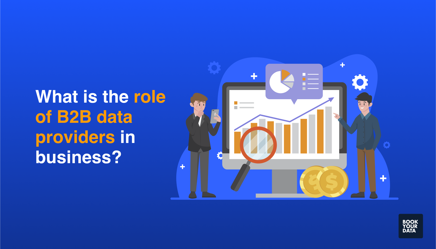 What is the role of B2B data providers in business?