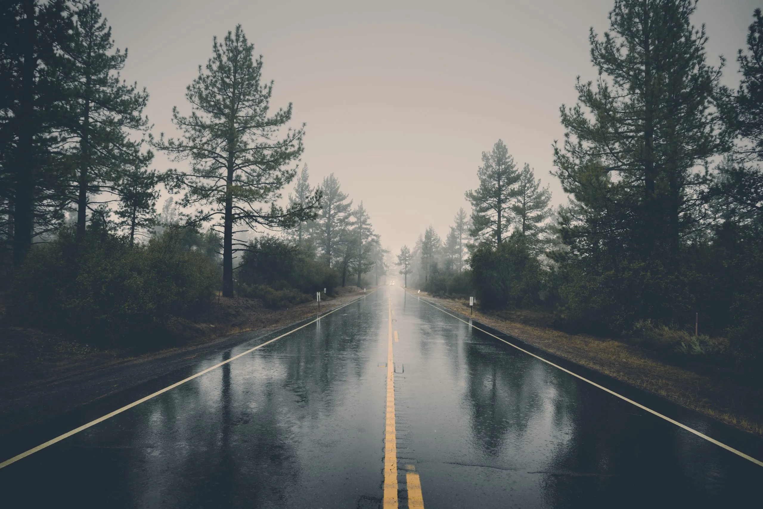 Mobility is more than just nabbing a new role, it's opportunities to grow, learn from your colleagues, try something new - and learning plays a part in it all. Read why here!