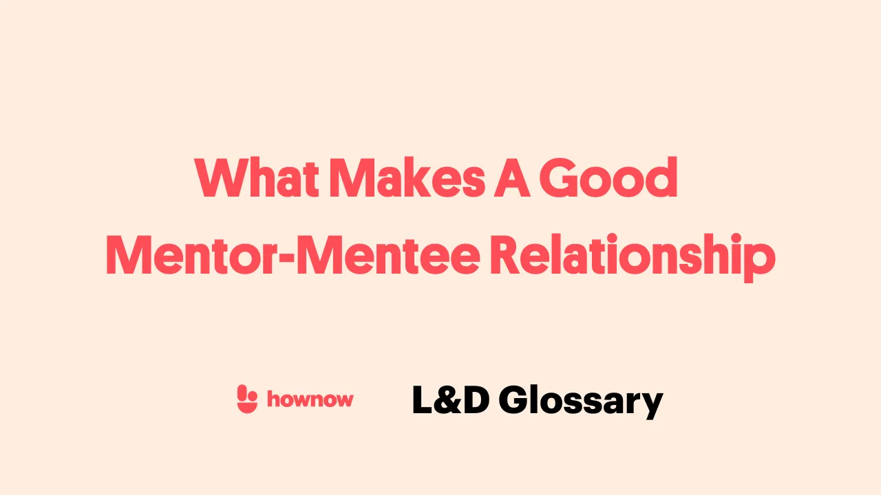 What Makes A Good  Mentor-Mentee Relationship