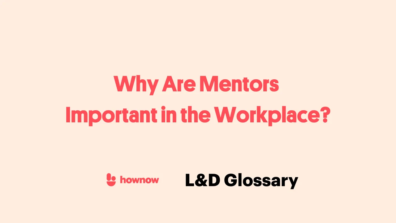 Why Are Mentors Important in the Workplace?