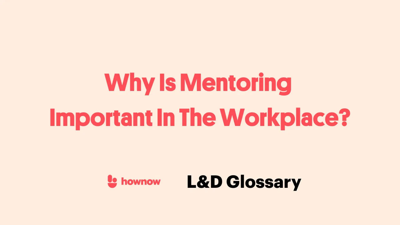 Why Is Mentoring Important In The Workplace?