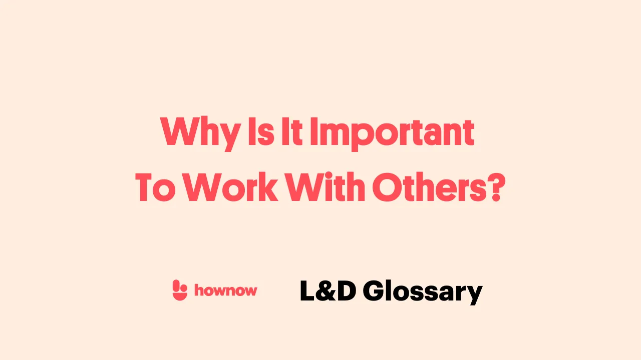 Why Is It Important To Work With Others?
