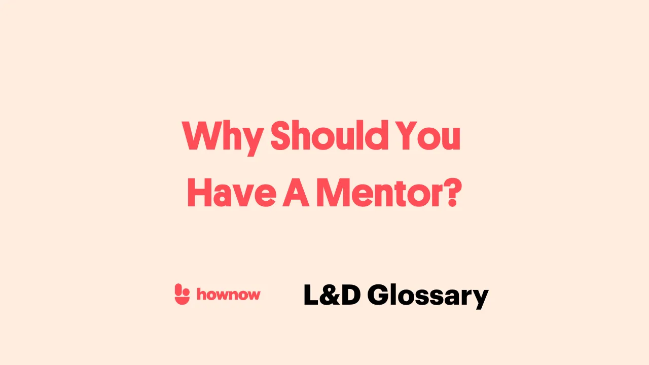 Why Should You Have A Mentor?