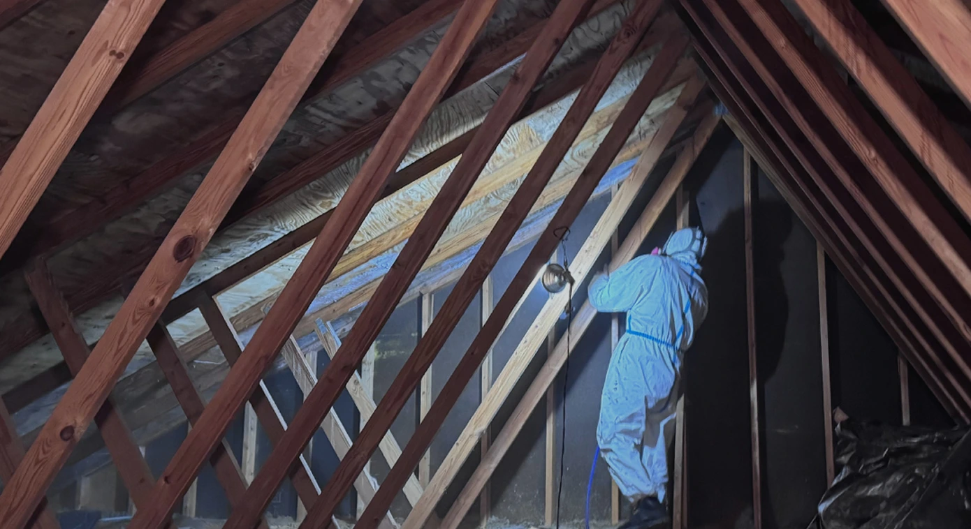 Attic Mold Growth - Don't Let Your Insulation Become a Breeding Ground!