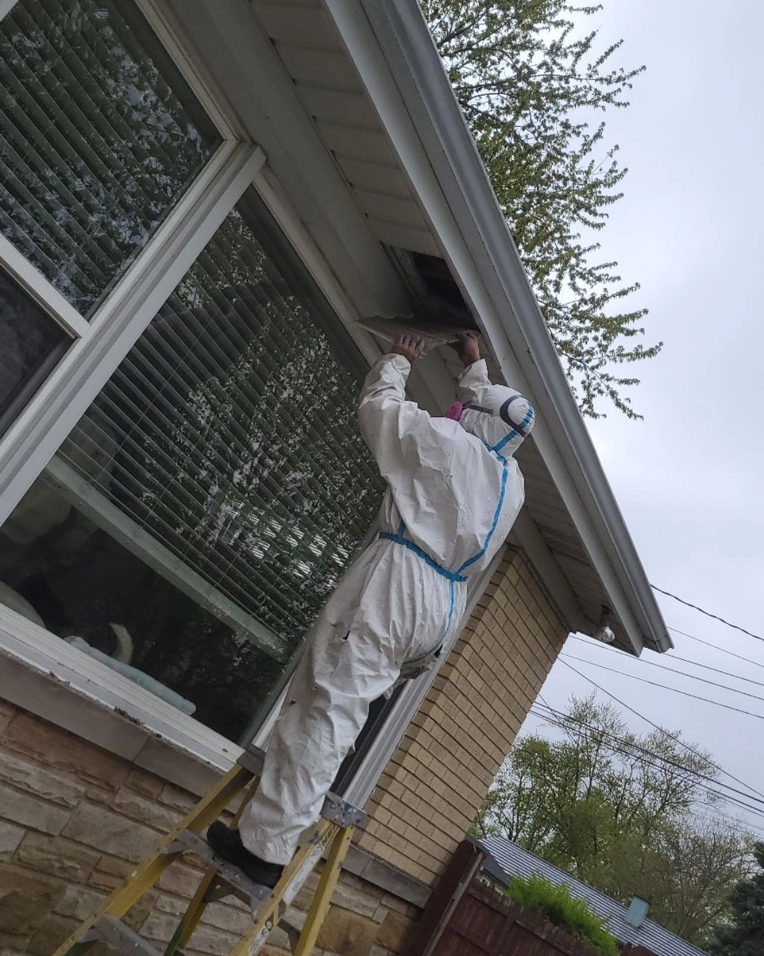 Green Attic Insulation Technician Repairing a Soffit Vent Green Attic Insulation technician repairing a soffit vent on a home's eaves