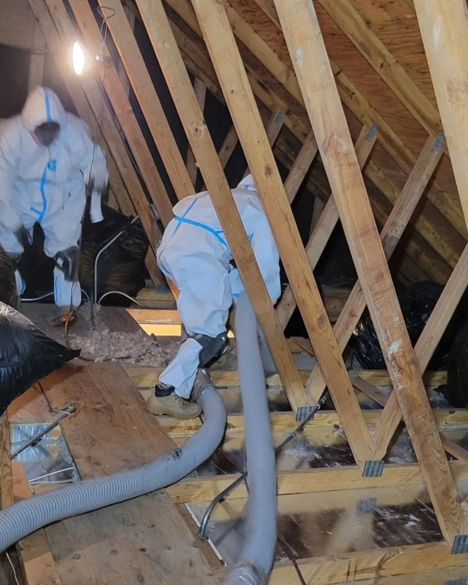 The Green Attic crew removing vermiculite from a Chicago-area attic