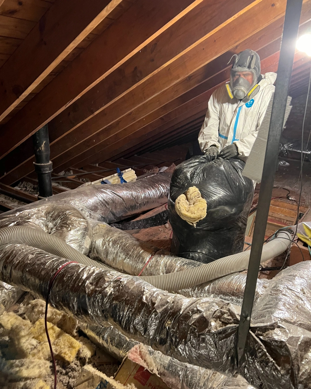 Green Attic worker in a protective suit and respirator bagging old fiberglass insulation in an attic with flexible ductwork