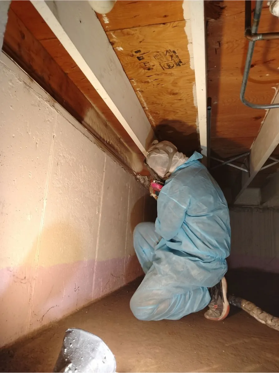The Benefits of Spray Foam Crawl Space Encapsulation