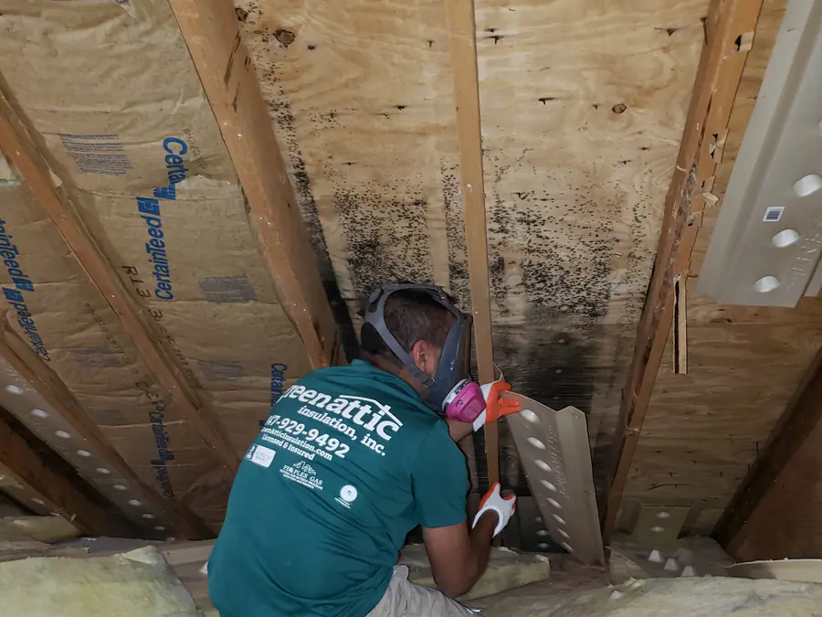 Green Attic technician in a respirator fitting a baffle beside mold-blackened roof sheathing