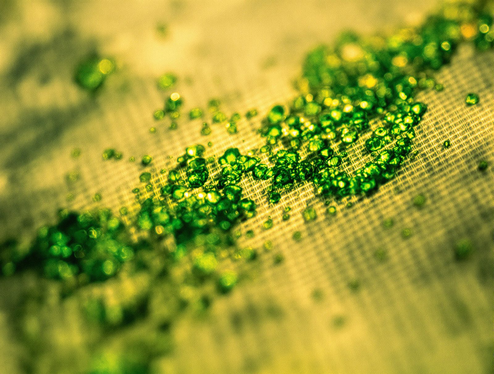 Texture de fibre coton avec tache herbe incrustee vue en gros plan macro detail tissu