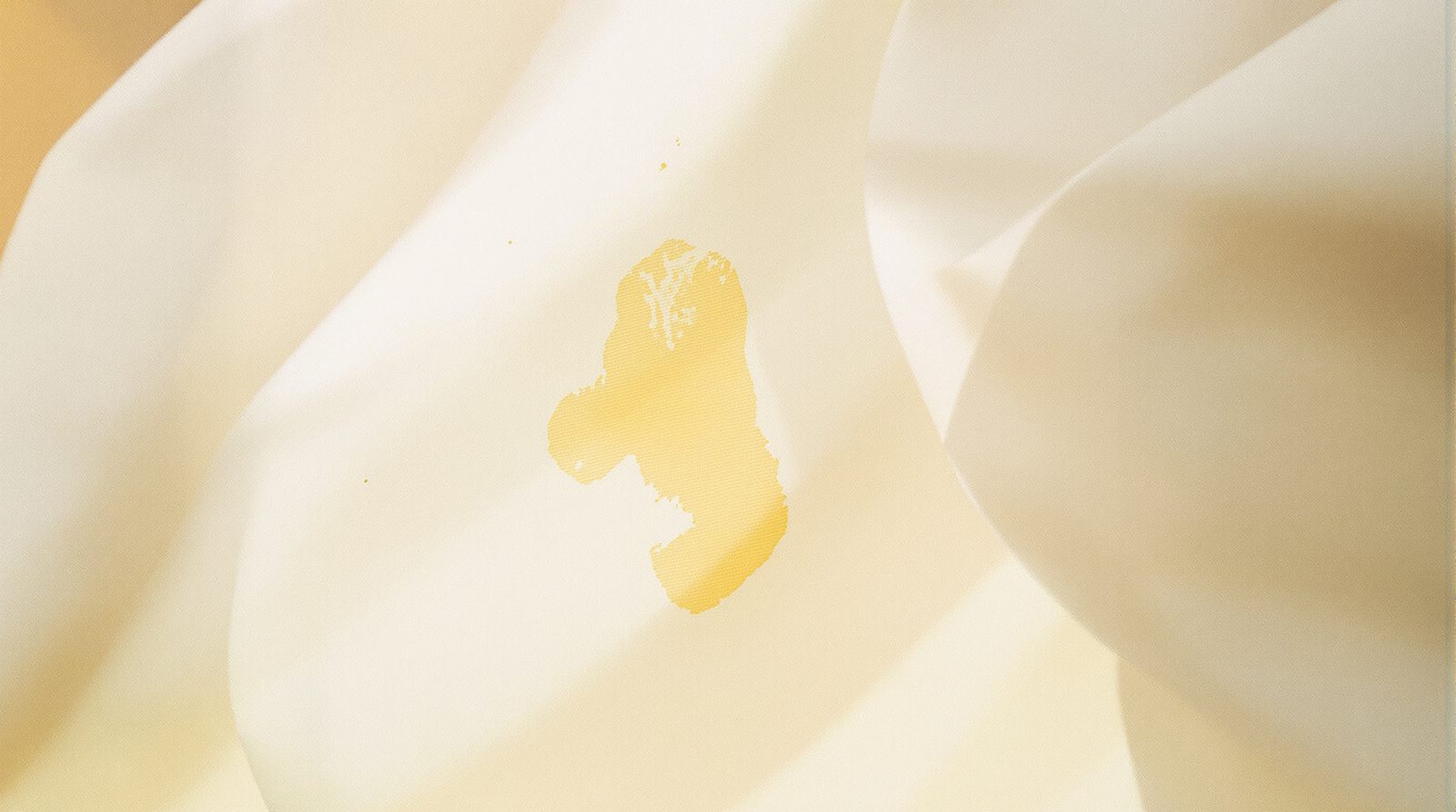 tache de transpiration jaune sur tissu blanc vue en gros plan sous lumiere naturelle chaude