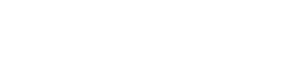 Salt Logo