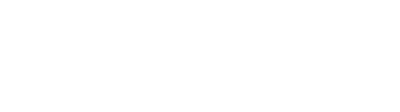 Salt Logo
