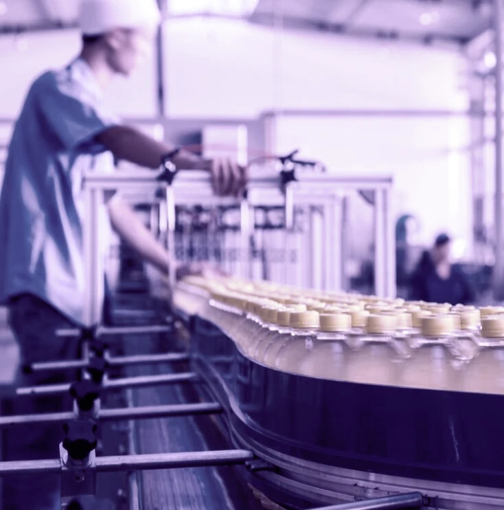Case Fruki Bebidas