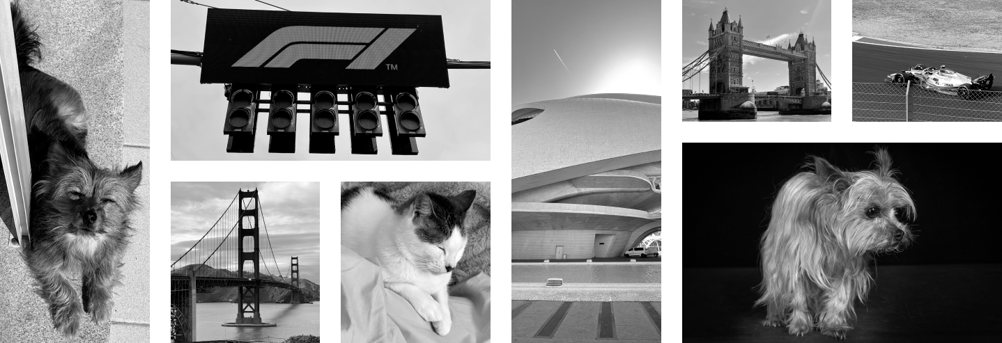 Pictures of travels, hobbies and animals.