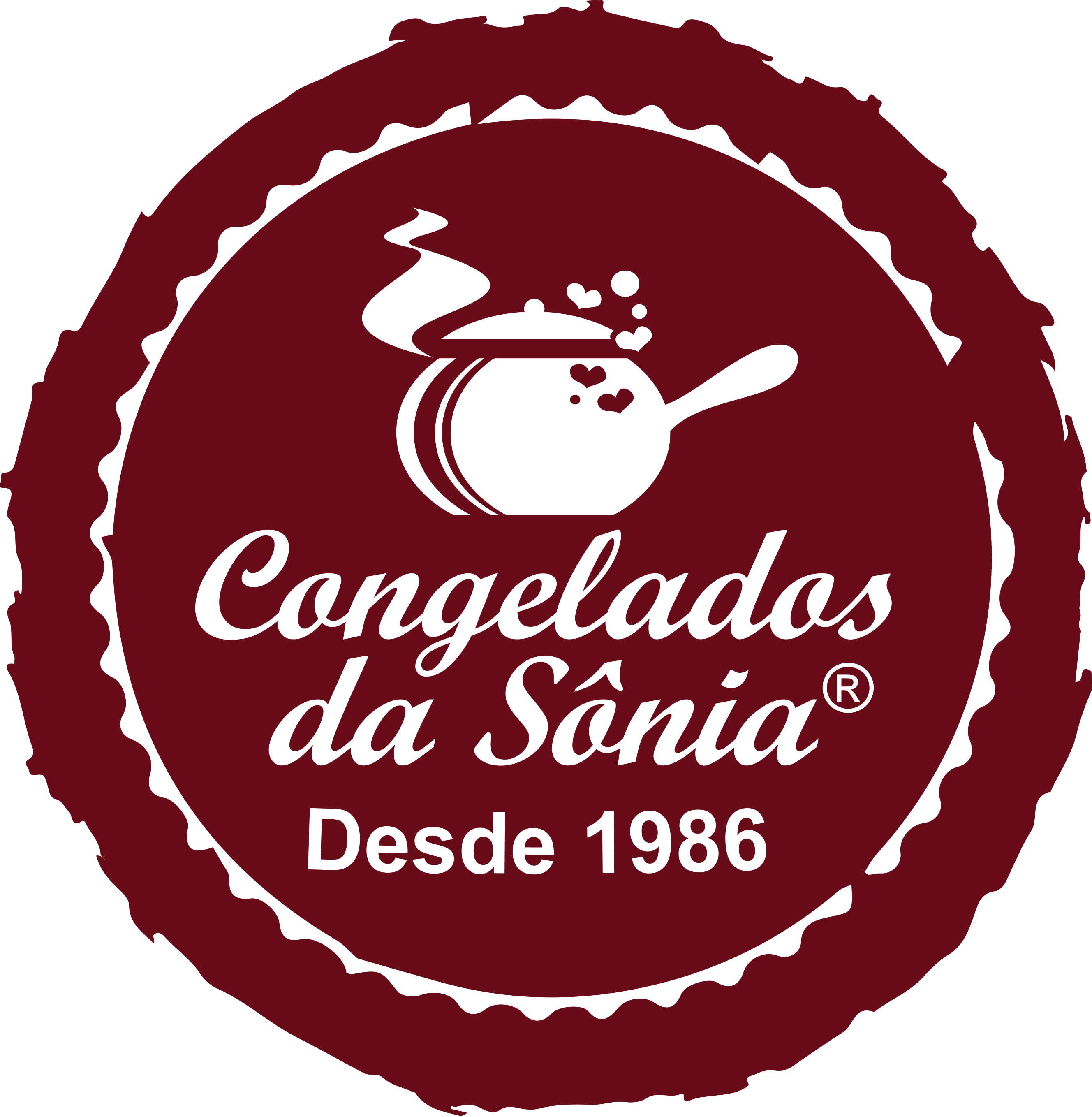 Congelados da Sonia