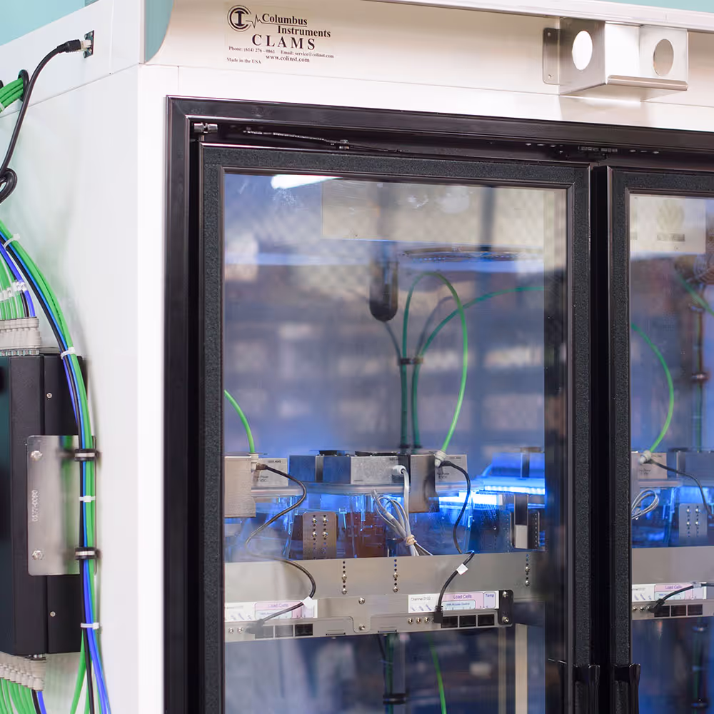 Woman in a laboratory