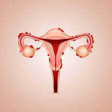 Le guide Endométriose : ce que vous pouvez vous faire rembourser avec Elsee