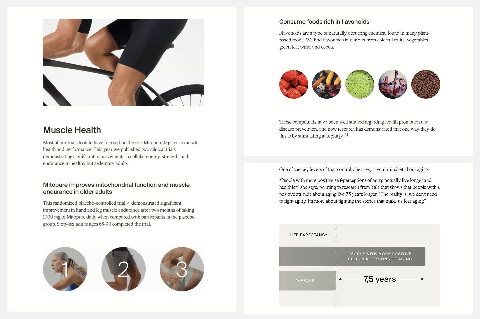Screenshots of various snippets from Timeline's blogs showing the various visuals they use to break up the blog text.