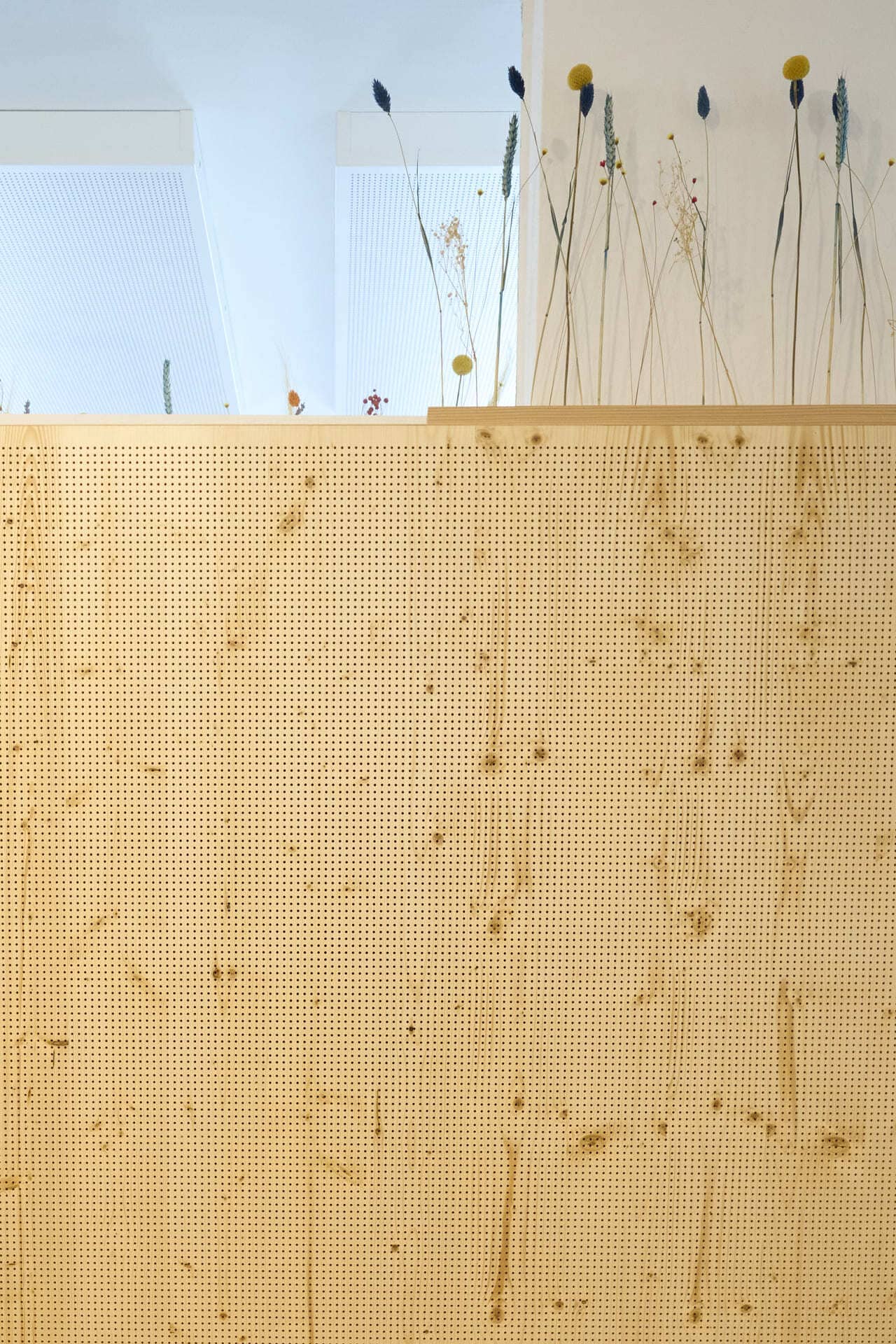 Mikroperforierter Wandabsorber aus Fichte zur Schallabsorption in der Ordination