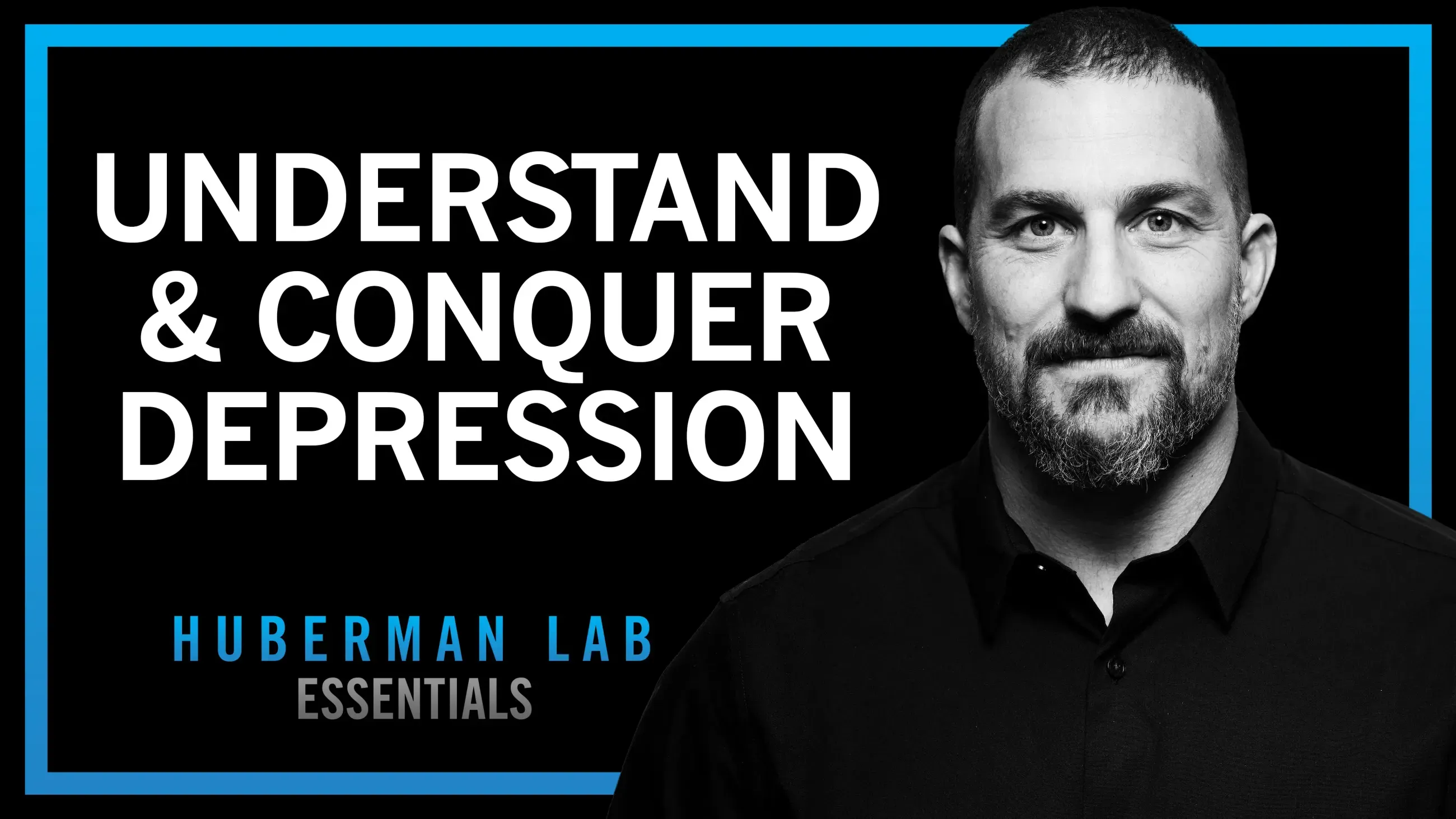 Huberman Lab Neural Network Newsletter