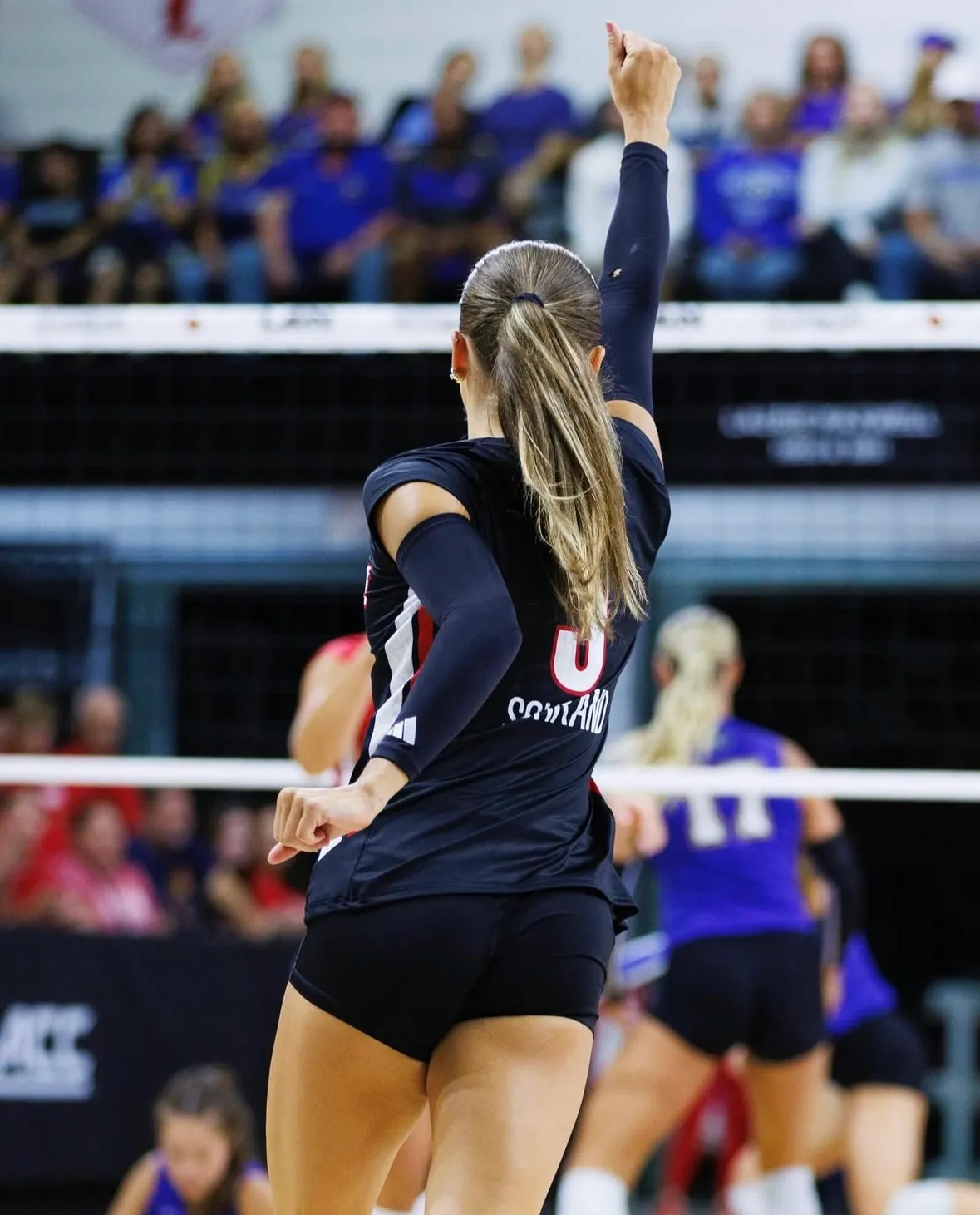 Cardinals Claim Bluejay Classic Crown