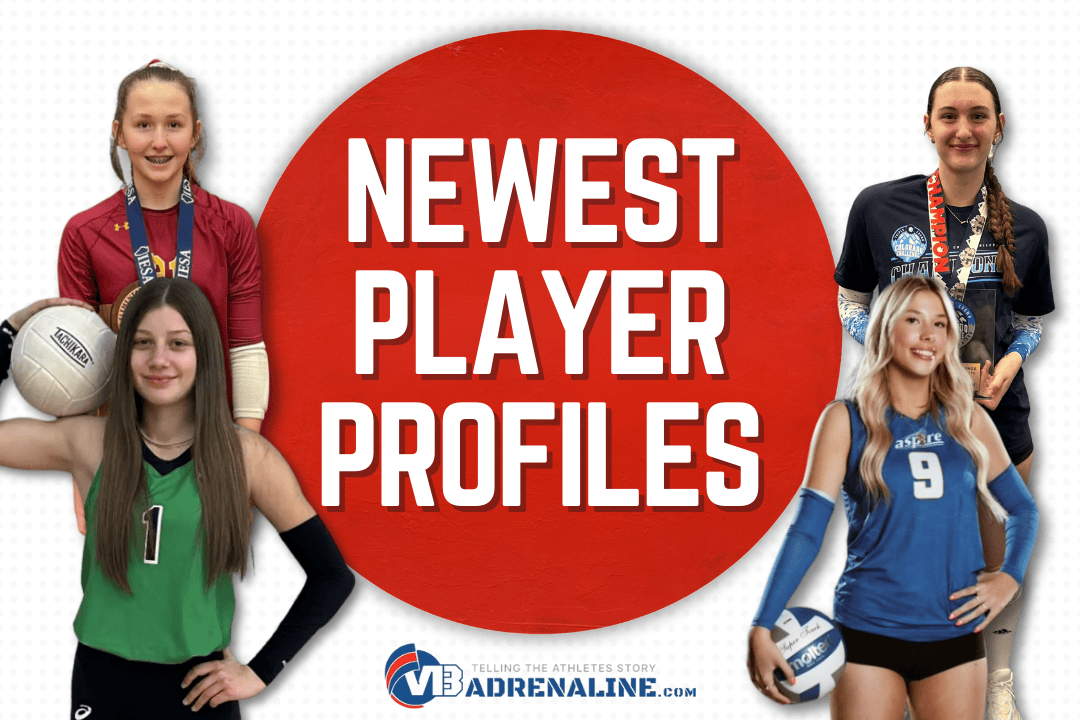Newest Player Profiles as of 4/19
