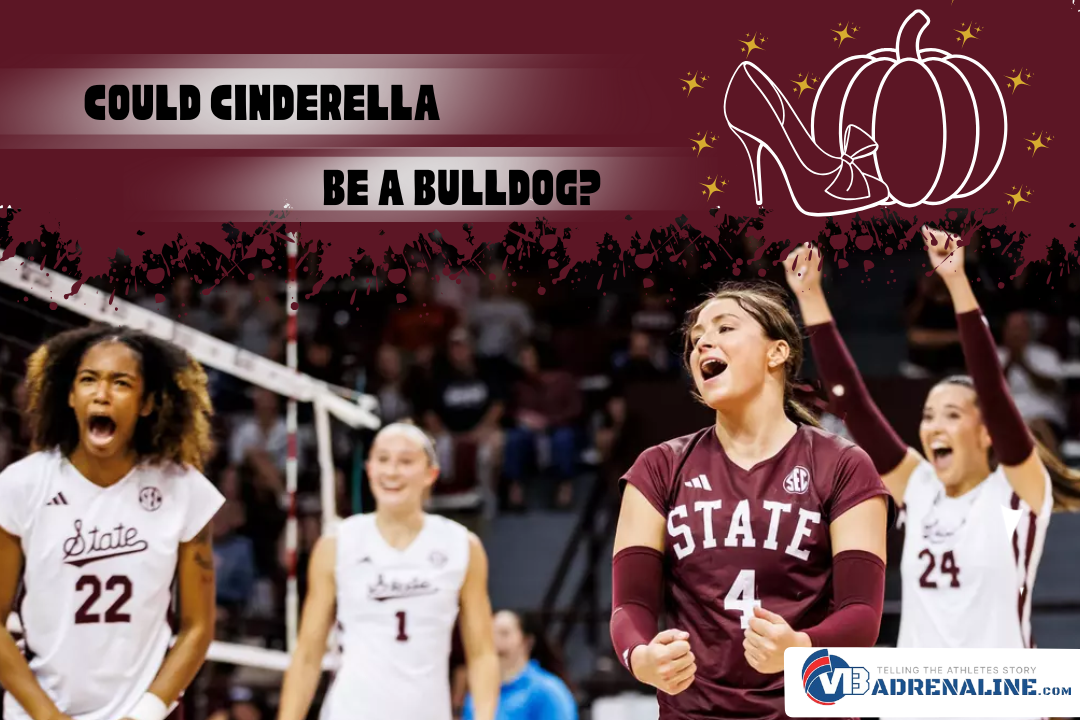 Could Cinderella Be a Bulldog?