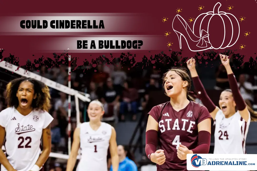 Could Cinderella Be a Bulldog?