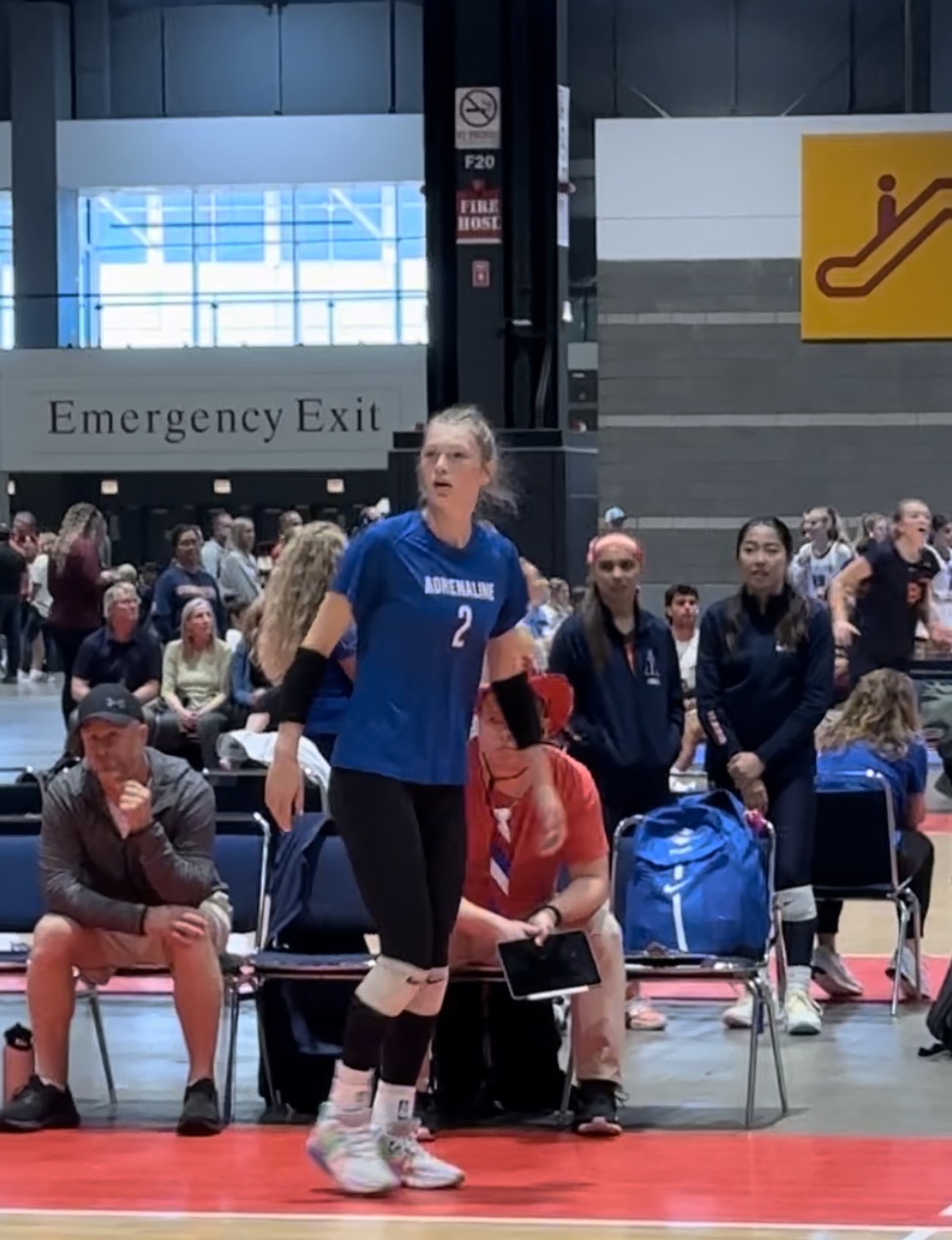 Chloe Meester "Better Than Advertised" 