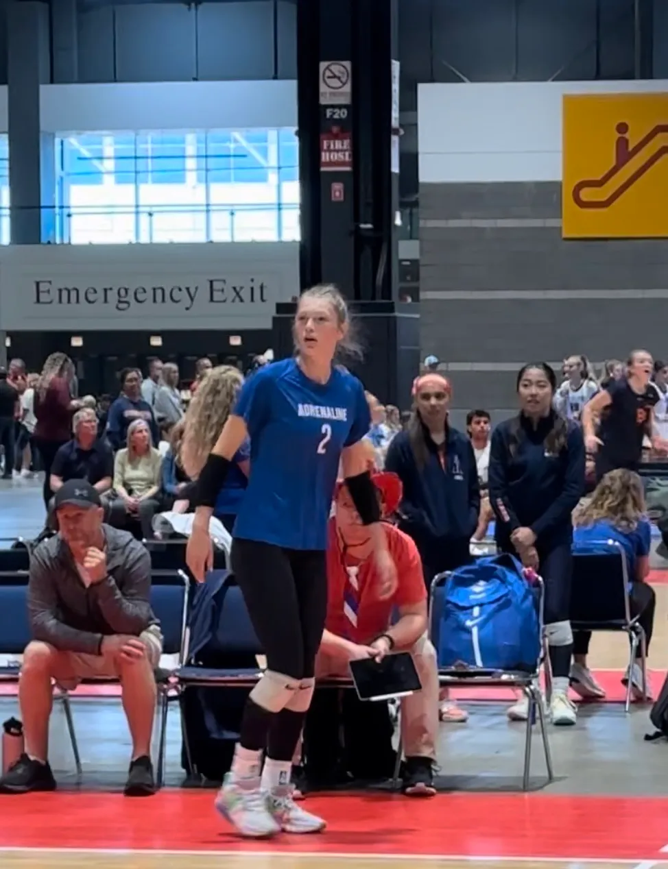 Chloe Meester "Better Than Advertised" 