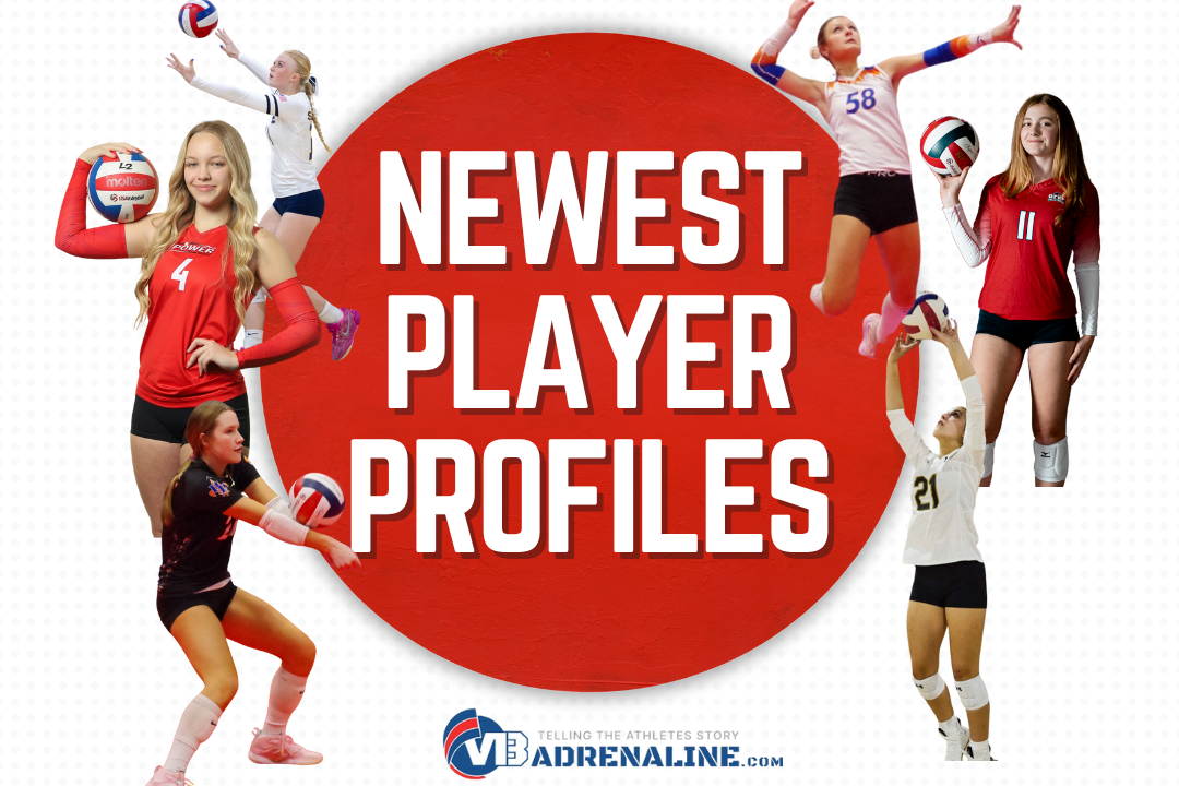 Newest Player Profiles - Sneaky Performers You Need to Know