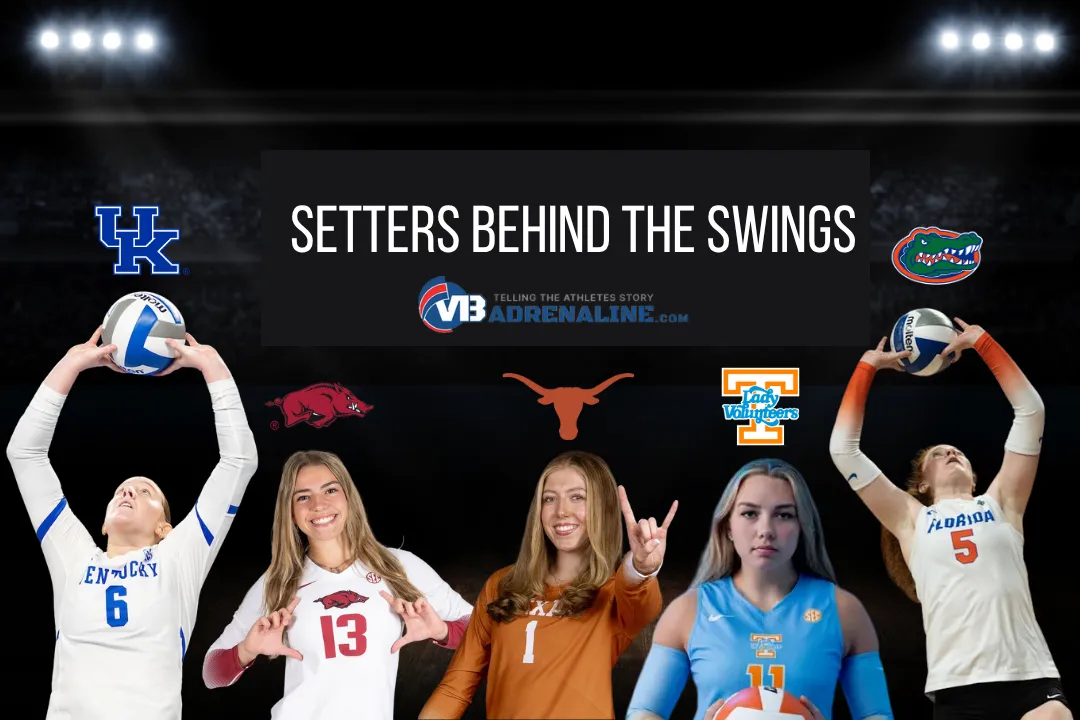 The Setters Behind the Swings