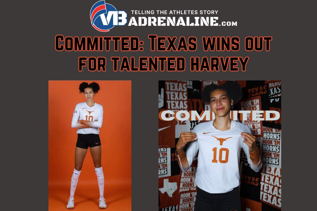 Taylor Harvey fell in love with Austin, TX