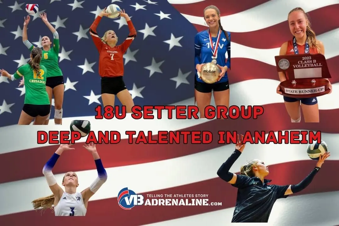 Setters Convention in Anaheim.  Talent on Display