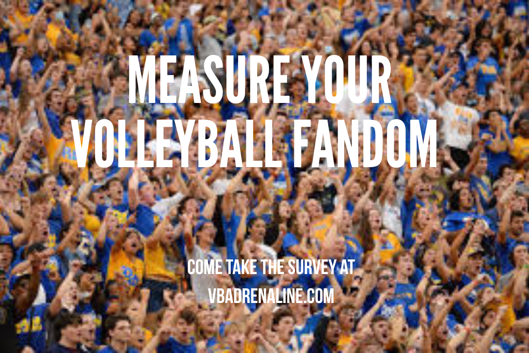 Test Your College Fandom: How Passionate are You To Your Team?
