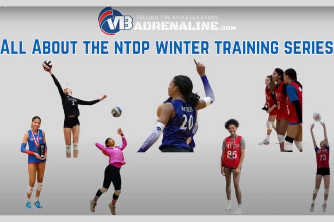 Faces of the NTDP: 8 IMPACT Stars Speak Up After Anaheim